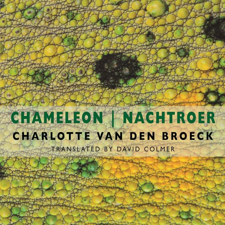 Omslag van de Engelse vertaling van 'Nachtroer' van Charlotte Van den Broeck.