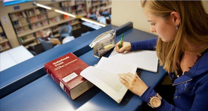 Decoratieve afbeelding van een student met een woordenboek Nederlands-Frans.