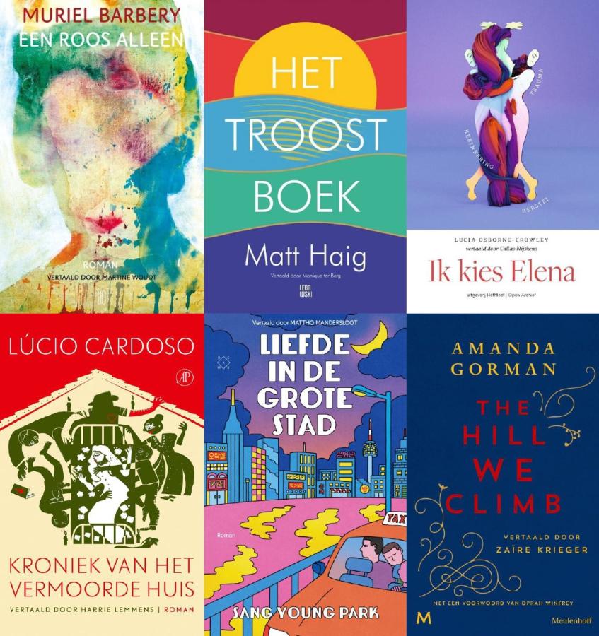 Collage van zes boeken waarbij de vertaler op het omslag genoemd wordt.
